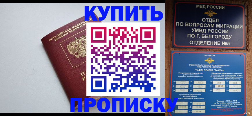 прописка регистрация в Смоленской области